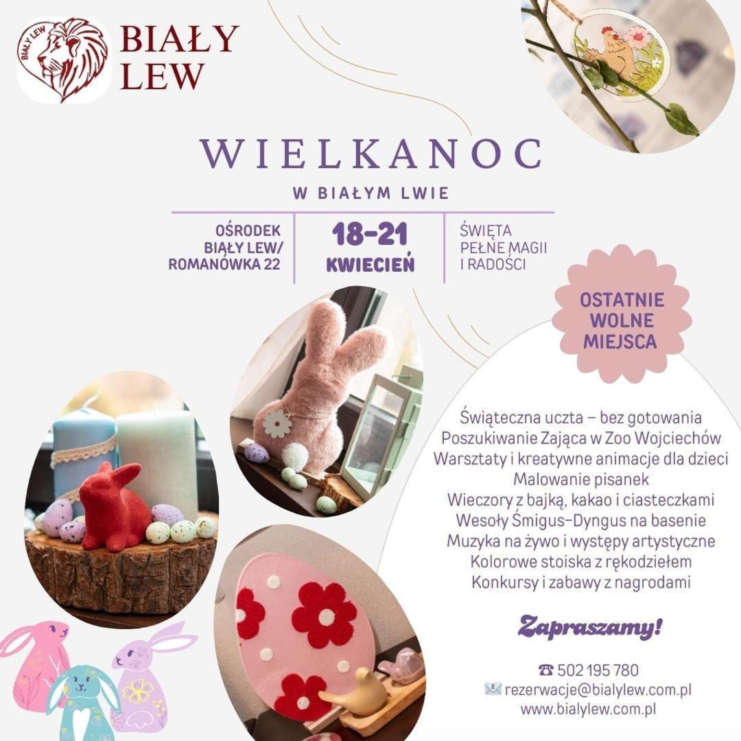 Osrodek Bialy Lew Bed and Breakfast Wojciechow  Exteriör bild
