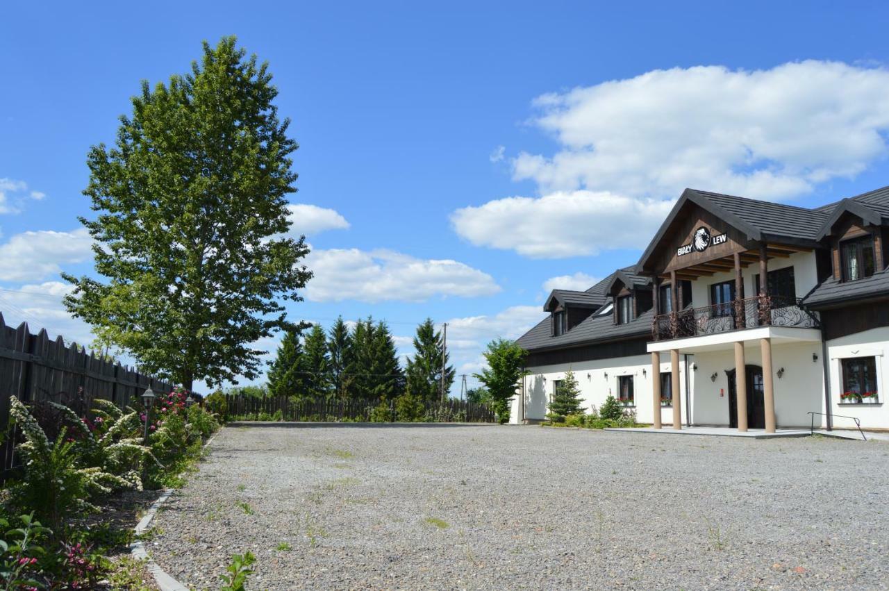 Osrodek Bialy Lew Bed and Breakfast Wojciechow  Exteriör bild